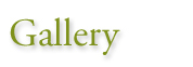 gallery-logo2